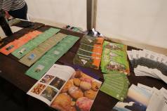 Mini IMG 5588